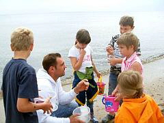 NetObjects Web Design Placeholder